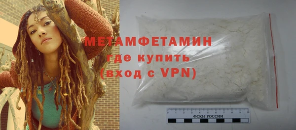 прущие грибы Краснотурьинск