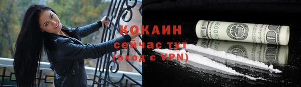 стаф Кукмор