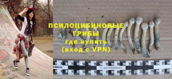 стаф Кукмор